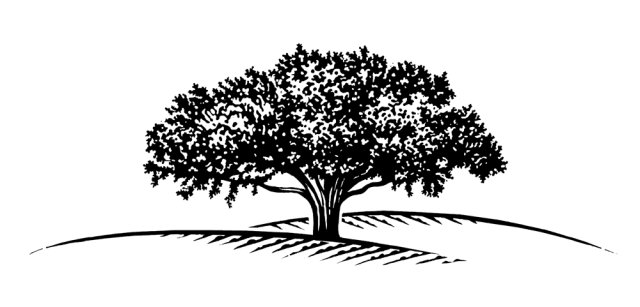 Tree Logo